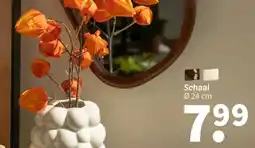 Wibra Schaal aanbieding