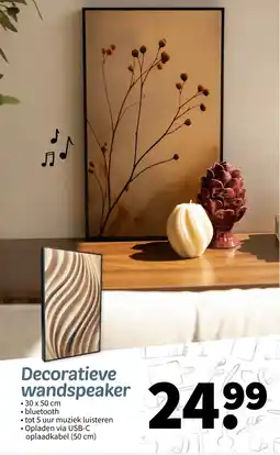 Wibra Decoratieve wandspeaker aanbieding
