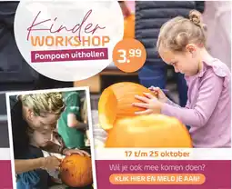 Coppelmans Workshop Pompoen uithollen aanbieding