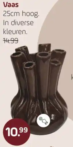 Coppelmans Vaas aanbieding