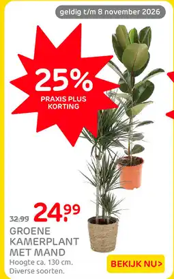 Praxis Groene kamerplant met mand aanbieding