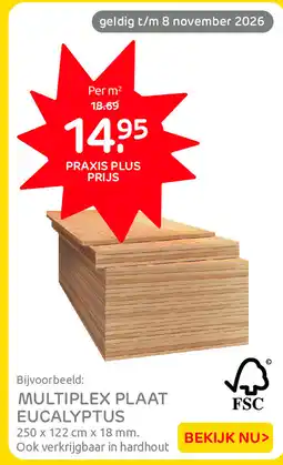 Praxis Multiplex plaat eucalyptus aanbieding