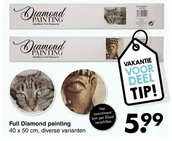 Wibra Full Diamond painting aanbieding