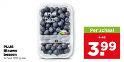 PLUS PLUS Blauwe bessen aanbieding