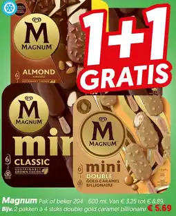 Dekamarkt Magnum aanbieding