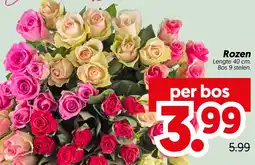 Dekamarkt Rozen aanbieding