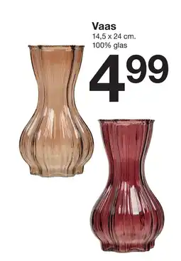 Zeeman Vaas aanbieding