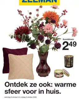 Zeeman Zeeman kunstbloem aanbieding