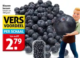 Hoogvliet Blauwe bessen aanbieding