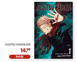 Bruna Jujutsu Kaisen aanbieding