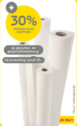 Praxis Glasvlies- en glasweefselbehang aanbieding