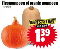 Dirk Flespompoen of oranje pompoen aanbieding