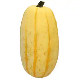Dirk 1 de Beste Spaghetti pompoen aanbieding