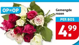 Hoogvliet Gemengde rozen aanbieding