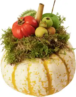 Dekamarkt Pompoen arrangement aanbieding