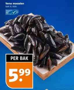 Poiesz Verse mosselen aanbieding