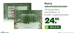 Welkoop Buzzy adventskalender aanbieding