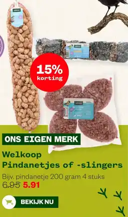 Welkoop Welkoop Pindanetjes of slingers aanbieding