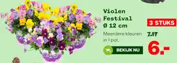 Welkoop Violen Festival aanbieding
