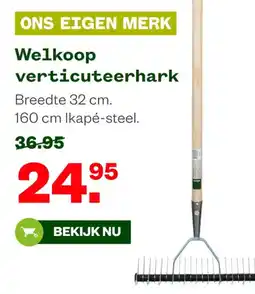 Welkoop Welkoop verticuteerhark aanbieding