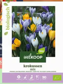 Welkoop welkoop krokussen mix aanbieding