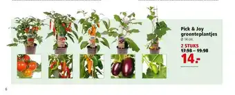 Welkoop Pick & joy groenteplantjes aanbieding