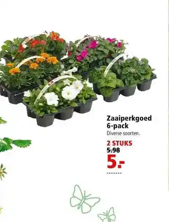 Welkoop Zaaiperkgoed 6-pack aanbieding