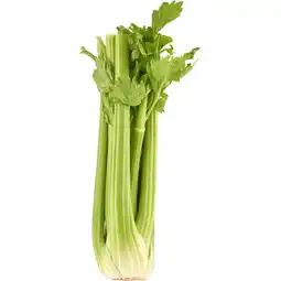 Jumbo Jumbo Bleekselderij aanbieding