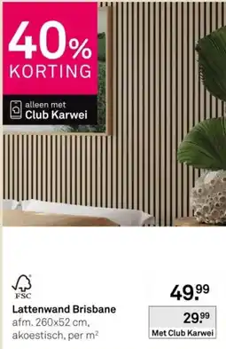 Karwei Lattenwand Brisbane aanbieding