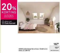 Karwei Agnes plafondplaat aanbieding