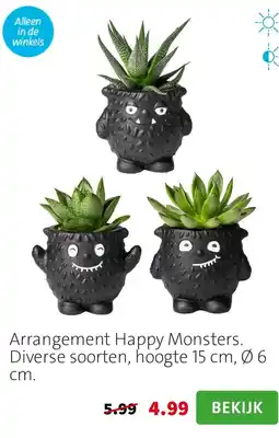 Intratuin Arrangement Happy Monsters aanbieding
