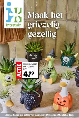 Intratuin Arrangement eye see you aanbieding