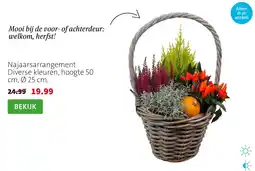 Intratuin Najaarsarrangement aanbieding