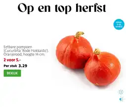 Intratuin Eetbare pompoen aanbieding