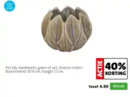 Intratuin Pot Ida aanbieding