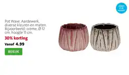 Intratuin Pot Wave aanbieding