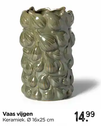 Xenos Vaas vijgen aanbieding