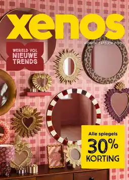 Xenos Alle spiegels aanbieding