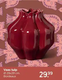 Xenos Vaas tulp aanbieding