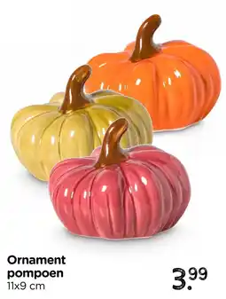 Xenos Ornament pompoen aanbieding
