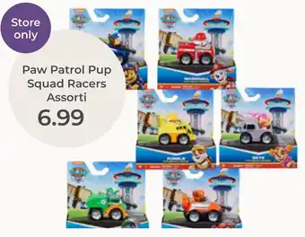 Prenatal Paw Patrol Pup Squad Racers Assorti aanbieding