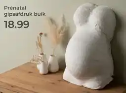 Prenatal Prénatal gipsafdruk buik aanbieding