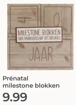 Prenatal Prénatal milestone blokken aanbieding