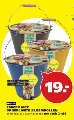 Tuinland OP=OP EMMER MET OPGEPLANTE BLOEMBOLLEN aanbieding