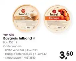HANOS Van Gils Bavarois tulband aanbieding