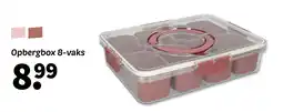 Wibra Opbergbox 8-vaks aanbieding