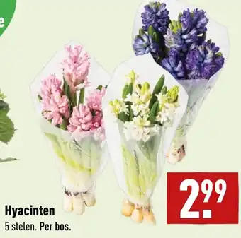 ALDI Hyacinten aanbieding