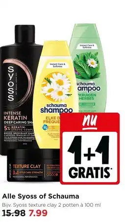 Jumbo Alle Syoss of Schauma aanbieding