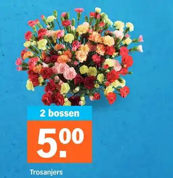 Albert Heijn Trosanjers aanbieding