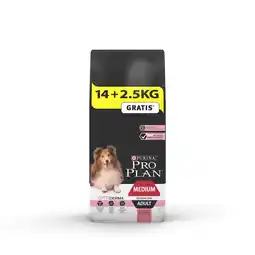 Pets Place Pro Plan Dog Adult Medium Breed Sensitive Bonusbag - Hondenbrokken - Zalm 16,5 kg aanbieding
